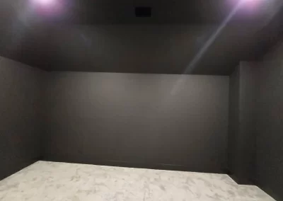Professional House Painter